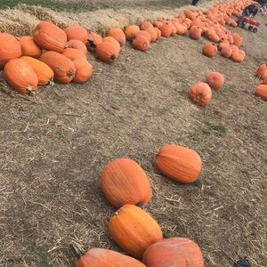 Meet your Posher, Eva